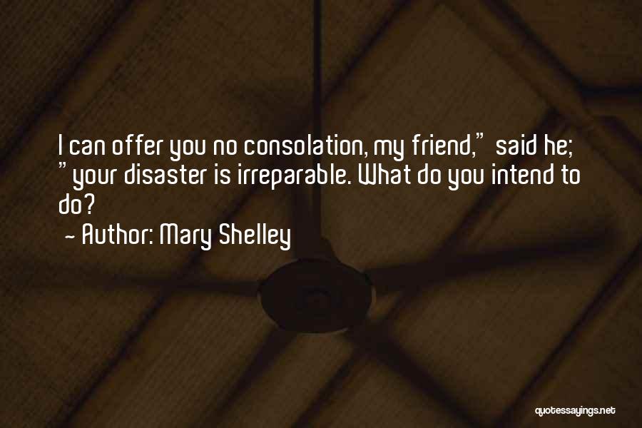 Mary Shelley Quotes: I Can Offer You No Consolation, My Friend, Said He; Your Disaster Is Irreparable. What Do You Intend To Do?