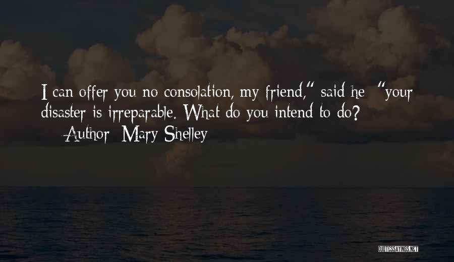 Mary Shelley Quotes: I Can Offer You No Consolation, My Friend, Said He; Your Disaster Is Irreparable. What Do You Intend To Do?