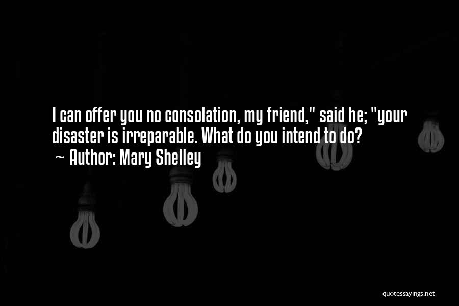 Mary Shelley Quotes: I Can Offer You No Consolation, My Friend, Said He; Your Disaster Is Irreparable. What Do You Intend To Do?