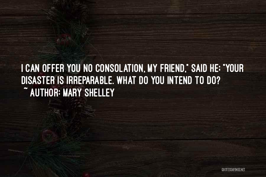 Mary Shelley Quotes: I Can Offer You No Consolation, My Friend, Said He; Your Disaster Is Irreparable. What Do You Intend To Do?