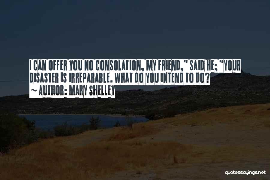 Mary Shelley Quotes: I Can Offer You No Consolation, My Friend, Said He; Your Disaster Is Irreparable. What Do You Intend To Do?