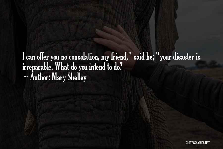 Mary Shelley Quotes: I Can Offer You No Consolation, My Friend, Said He; Your Disaster Is Irreparable. What Do You Intend To Do?