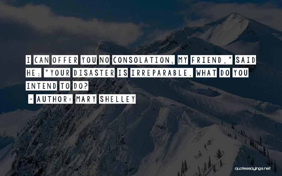 Mary Shelley Quotes: I Can Offer You No Consolation, My Friend, Said He; Your Disaster Is Irreparable. What Do You Intend To Do?