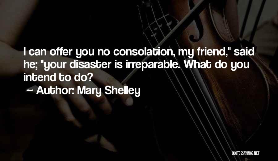 Mary Shelley Quotes: I Can Offer You No Consolation, My Friend, Said He; Your Disaster Is Irreparable. What Do You Intend To Do?