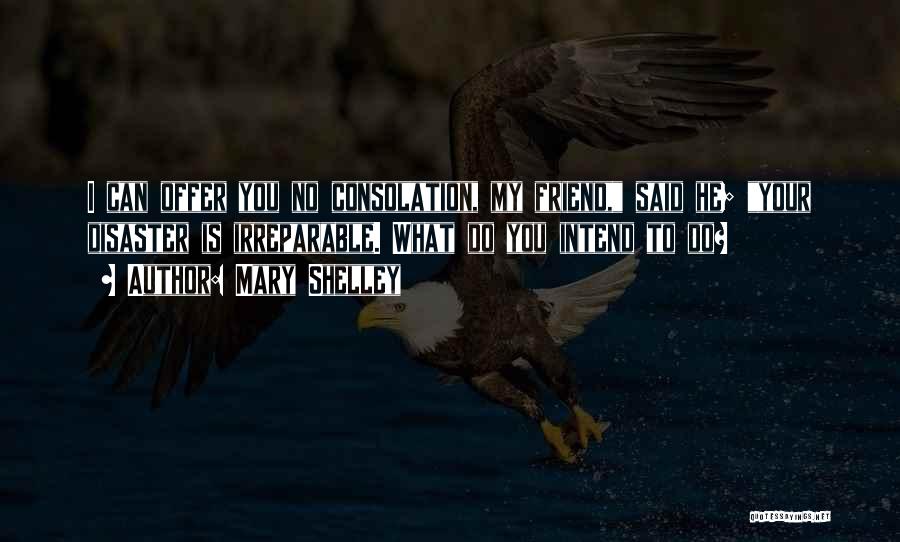Mary Shelley Quotes: I Can Offer You No Consolation, My Friend, Said He; Your Disaster Is Irreparable. What Do You Intend To Do?