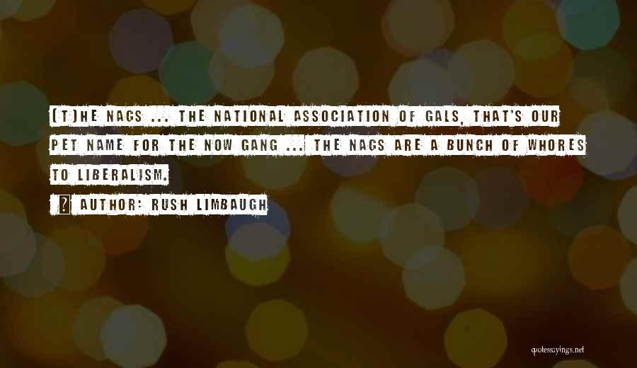 Rush Limbaugh Quotes: [t]he Nags ... The National Association Of Gals, That's Our Pet Name For The Now Gang ... The Nags Are