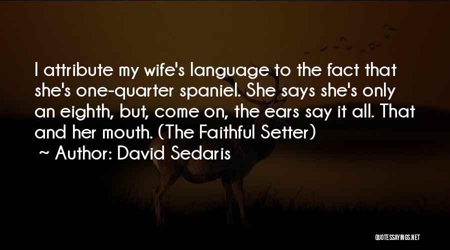 David Sedaris Quotes: I Attribute My Wife's Language To The Fact That She's One-quarter Spaniel. She Says She's Only An Eighth, But, Come