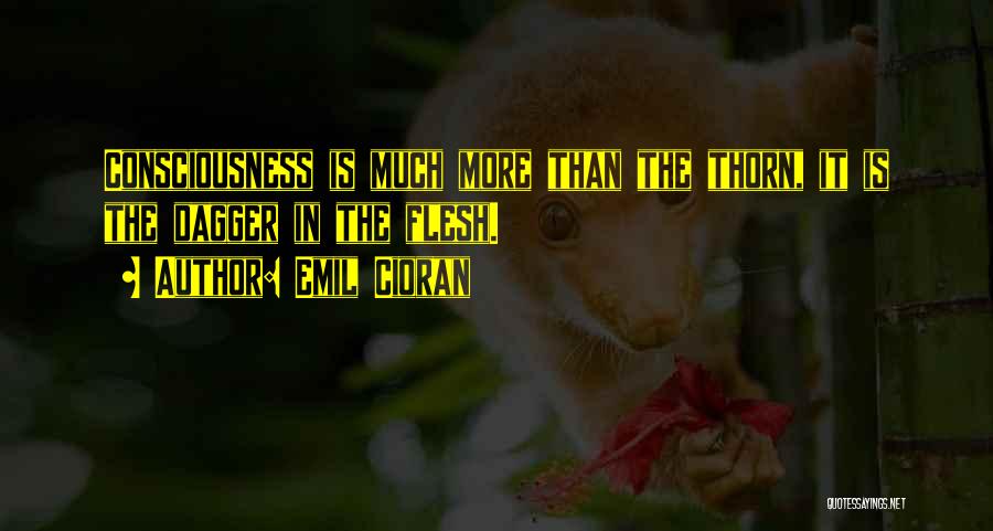 Emil Cioran Quotes: Consciousness Is Much More Than The Thorn, It Is The Dagger In The Flesh.