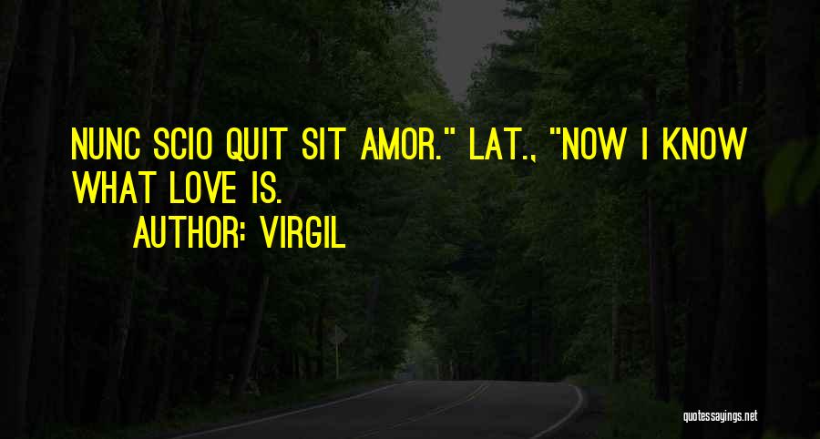 Virgil Quotes: Nunc Scio Quit Sit Amor. Lat., Now I Know What Love Is.