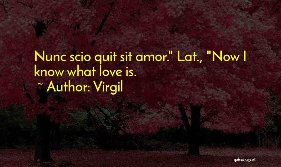 Virgil Quotes: Nunc Scio Quit Sit Amor. Lat., Now I Know What Love Is.