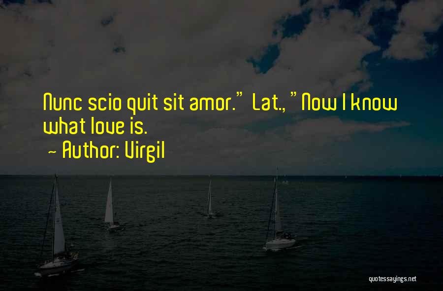 Virgil Quotes: Nunc Scio Quit Sit Amor. Lat., Now I Know What Love Is.