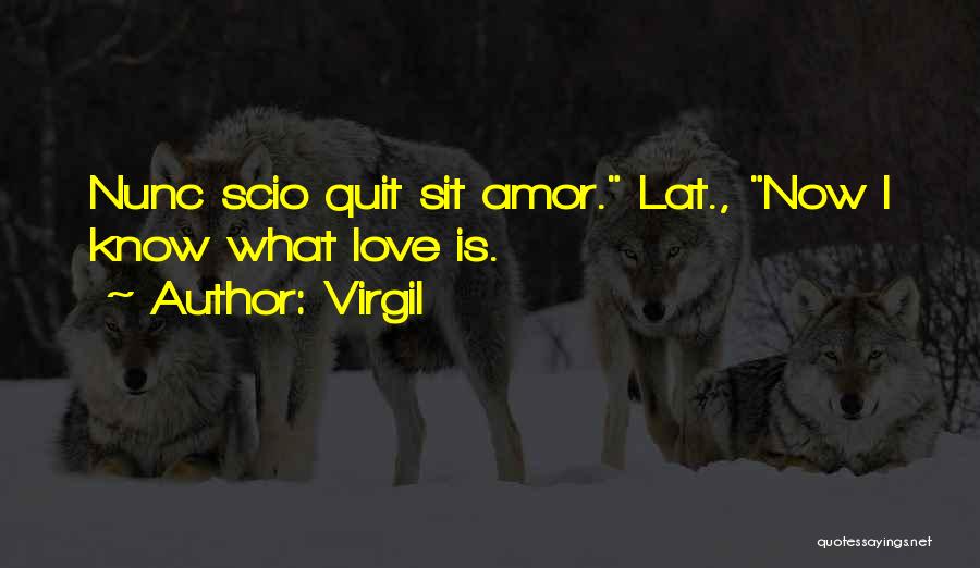 Virgil Quotes: Nunc Scio Quit Sit Amor. Lat., Now I Know What Love Is.