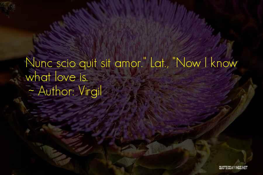 Virgil Quotes: Nunc Scio Quit Sit Amor. Lat., Now I Know What Love Is.