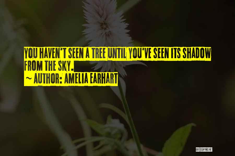 Amelia Earhart Quotes: You Haven't Seen A Tree Until You've Seen Its Shadow From The Sky.