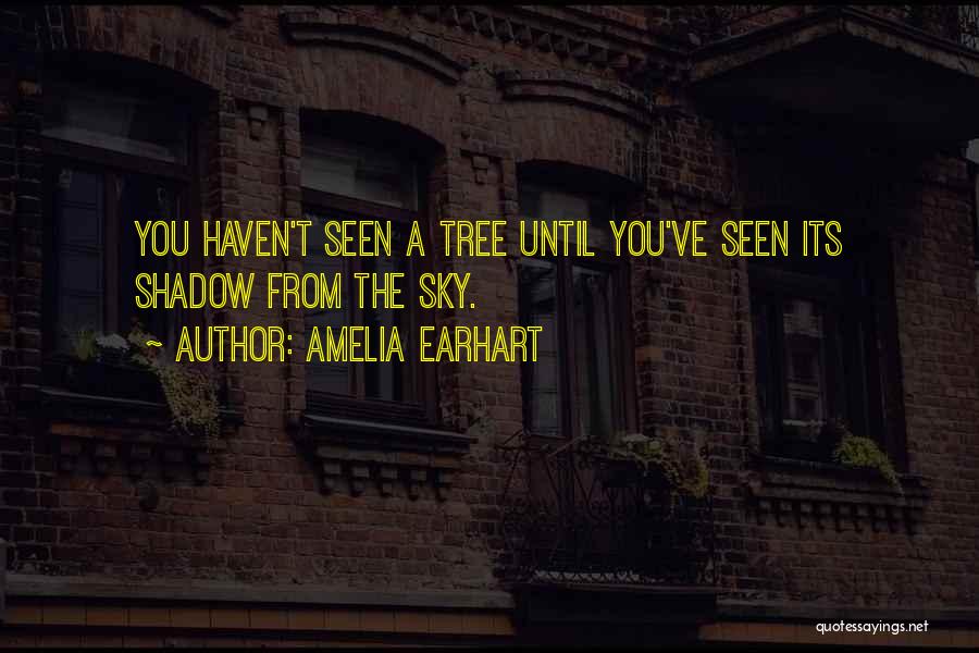 Amelia Earhart Quotes: You Haven't Seen A Tree Until You've Seen Its Shadow From The Sky.