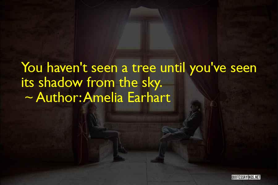 Amelia Earhart Quotes: You Haven't Seen A Tree Until You've Seen Its Shadow From The Sky.