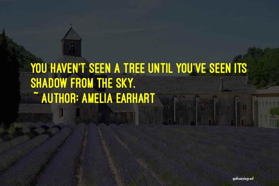 Amelia Earhart Quotes: You Haven't Seen A Tree Until You've Seen Its Shadow From The Sky.