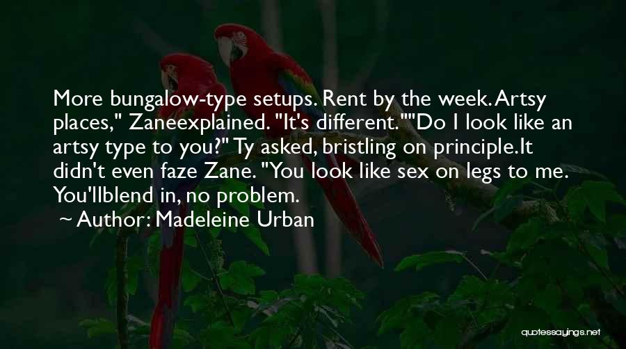 Madeleine Urban Quotes: More Bungalow-type Setups. Rent By The Week. Artsy Places, Zaneexplained. It's Different.do I Look Like An Artsy Type To You?