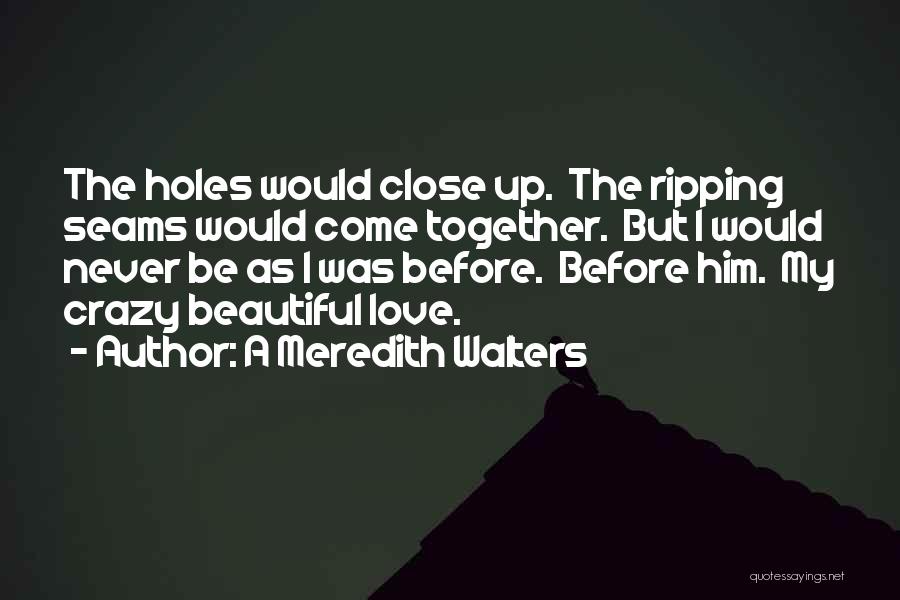 A Meredith Walters Quotes: The Holes Would Close Up. The Ripping Seams Would Come Together. But I Would Never Be As I Was Before.