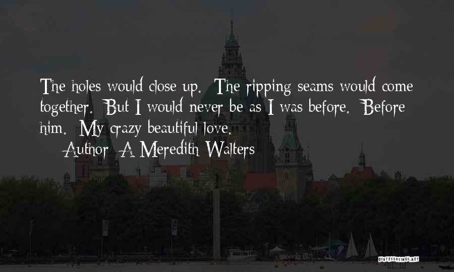 A Meredith Walters Quotes: The Holes Would Close Up. The Ripping Seams Would Come Together. But I Would Never Be As I Was Before.