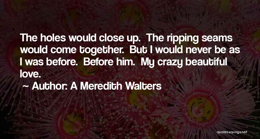 A Meredith Walters Quotes: The Holes Would Close Up. The Ripping Seams Would Come Together. But I Would Never Be As I Was Before.