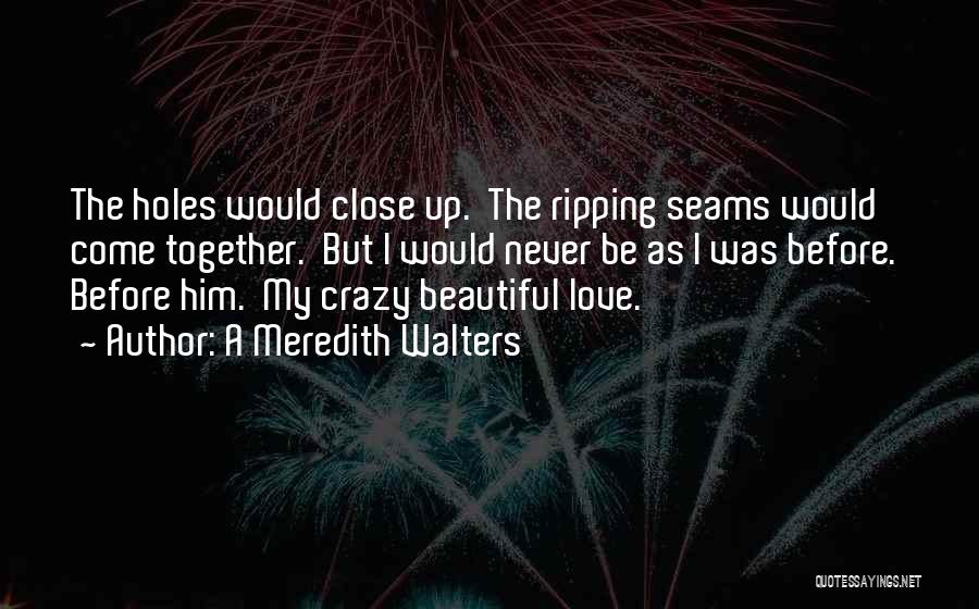 A Meredith Walters Quotes: The Holes Would Close Up. The Ripping Seams Would Come Together. But I Would Never Be As I Was Before.