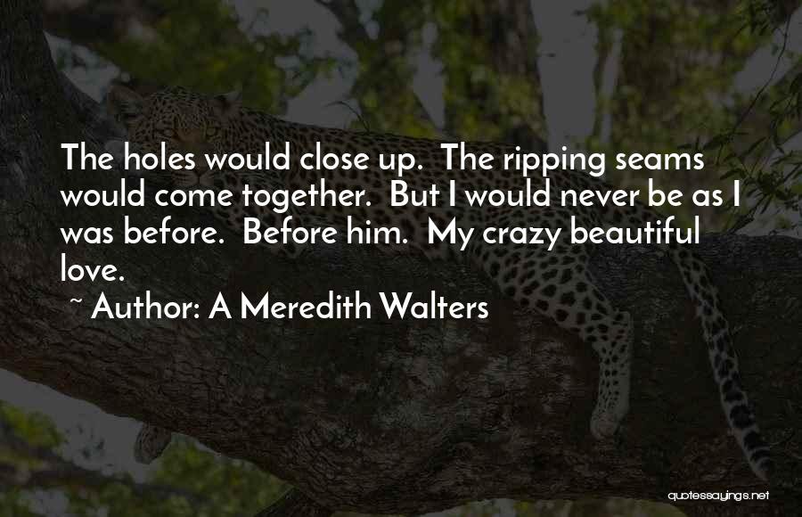 A Meredith Walters Quotes: The Holes Would Close Up. The Ripping Seams Would Come Together. But I Would Never Be As I Was Before.