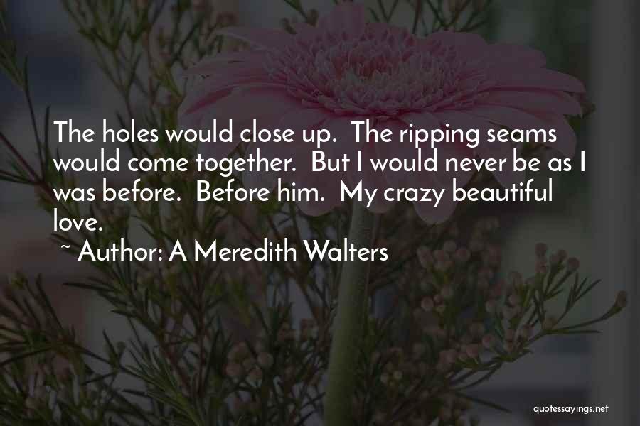 A Meredith Walters Quotes: The Holes Would Close Up. The Ripping Seams Would Come Together. But I Would Never Be As I Was Before.
