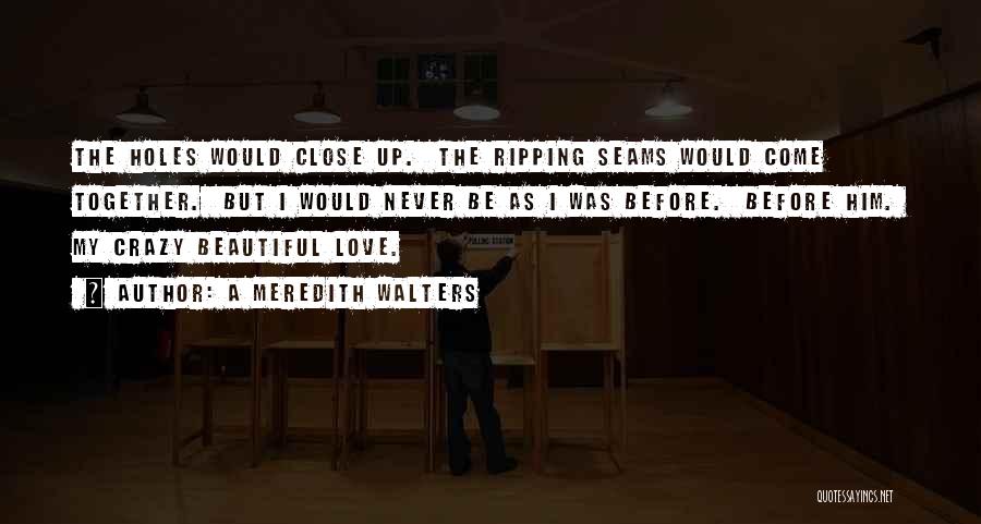 A Meredith Walters Quotes: The Holes Would Close Up. The Ripping Seams Would Come Together. But I Would Never Be As I Was Before.