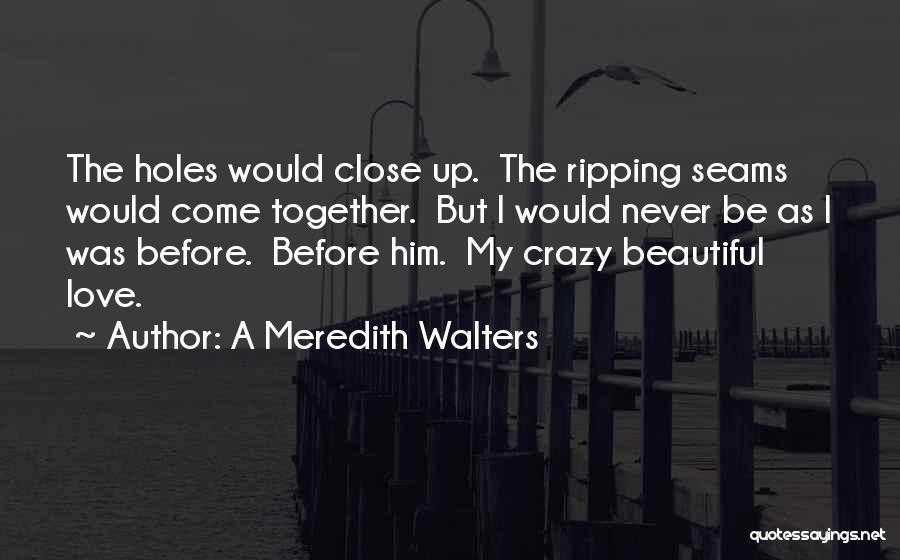 A Meredith Walters Quotes: The Holes Would Close Up. The Ripping Seams Would Come Together. But I Would Never Be As I Was Before.