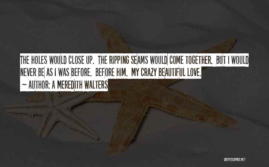 A Meredith Walters Quotes: The Holes Would Close Up. The Ripping Seams Would Come Together. But I Would Never Be As I Was Before.