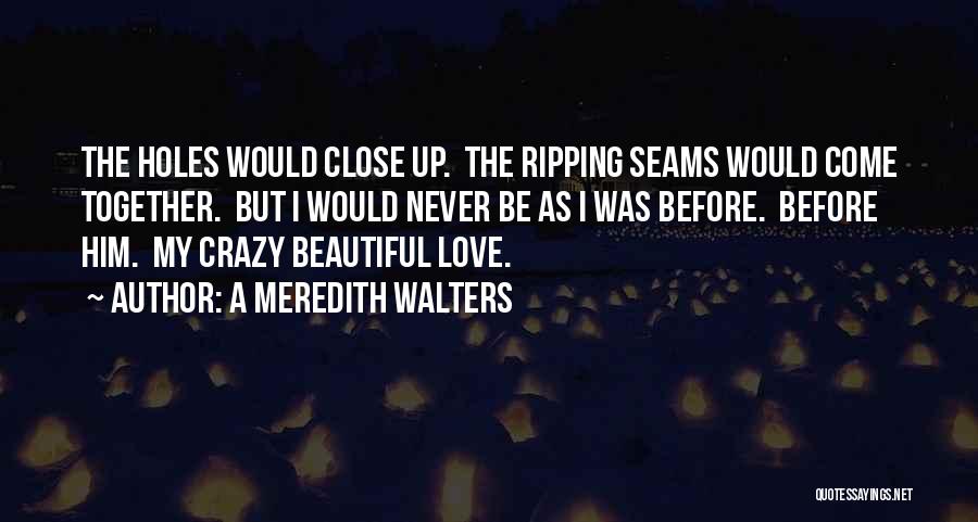 A Meredith Walters Quotes: The Holes Would Close Up. The Ripping Seams Would Come Together. But I Would Never Be As I Was Before.