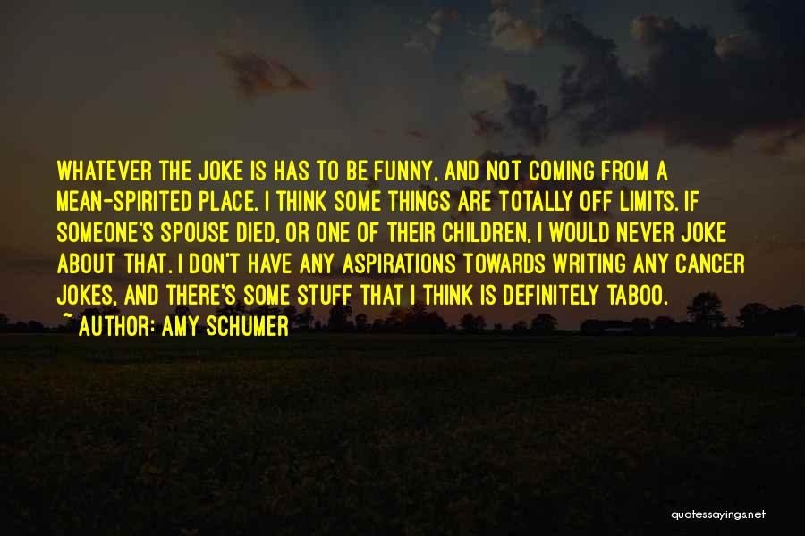 Amy Schumer Quotes: Whatever The Joke Is Has To Be Funny, And Not Coming From A Mean-spirited Place. I Think Some Things Are