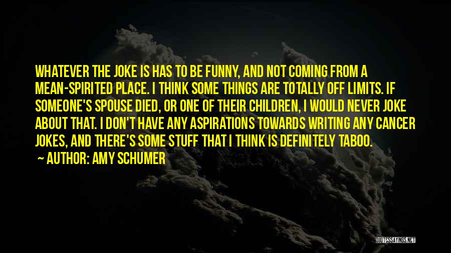 Amy Schumer Quotes: Whatever The Joke Is Has To Be Funny, And Not Coming From A Mean-spirited Place. I Think Some Things Are