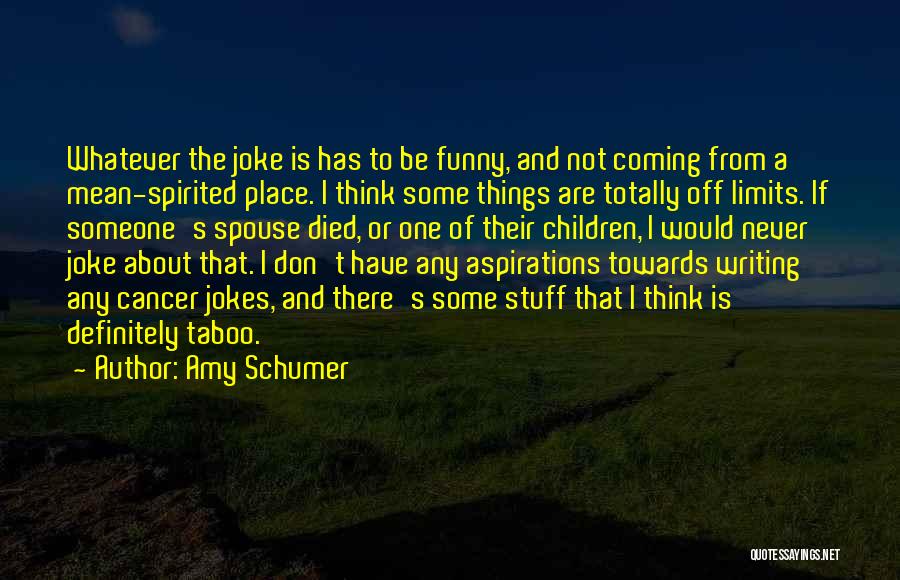 Amy Schumer Quotes: Whatever The Joke Is Has To Be Funny, And Not Coming From A Mean-spirited Place. I Think Some Things Are