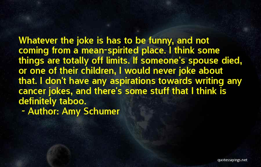 Amy Schumer Quotes: Whatever The Joke Is Has To Be Funny, And Not Coming From A Mean-spirited Place. I Think Some Things Are