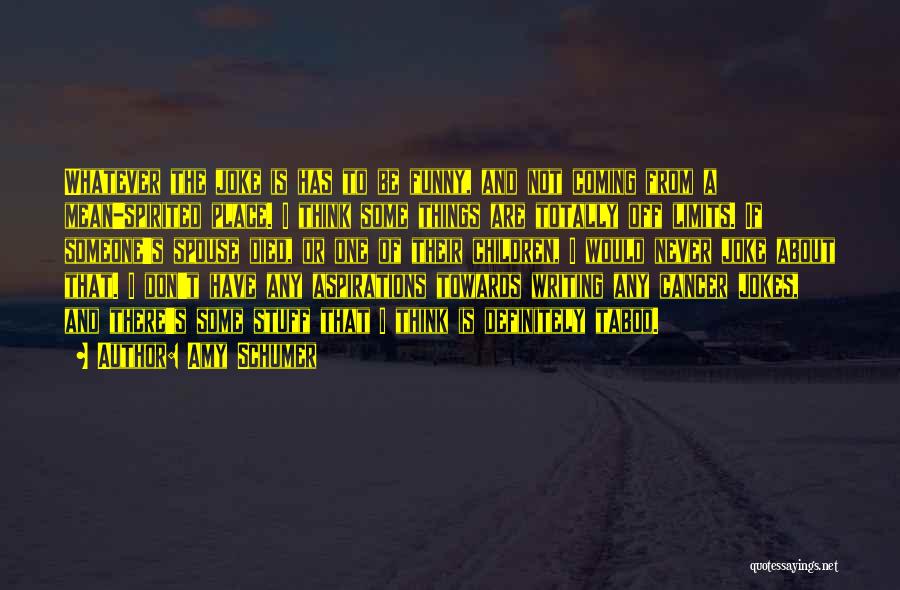 Amy Schumer Quotes: Whatever The Joke Is Has To Be Funny, And Not Coming From A Mean-spirited Place. I Think Some Things Are