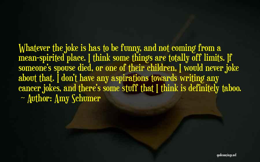 Amy Schumer Quotes: Whatever The Joke Is Has To Be Funny, And Not Coming From A Mean-spirited Place. I Think Some Things Are