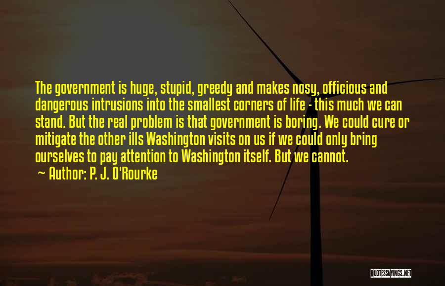 P. J. O'Rourke Quotes: The Government Is Huge, Stupid, Greedy And Makes Nosy, Officious And Dangerous Intrusions Into The Smallest Corners Of Life -