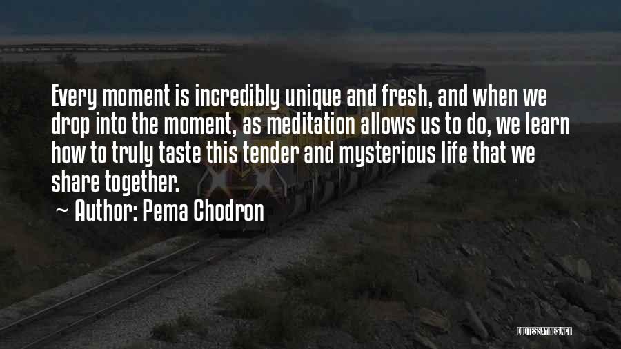 Pema Chodron Quotes: Every Moment Is Incredibly Unique And Fresh, And When We Drop Into The Moment, As Meditation Allows Us To Do,