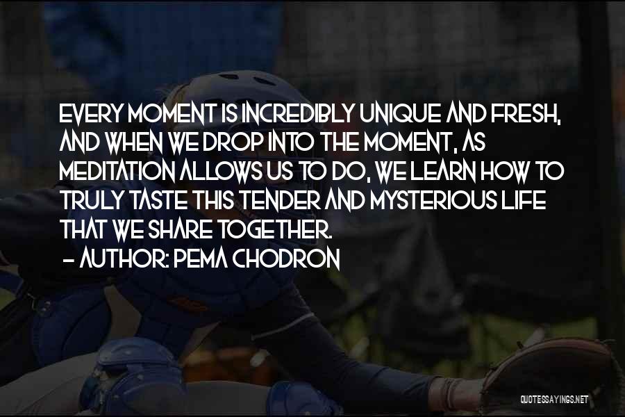 Pema Chodron Quotes: Every Moment Is Incredibly Unique And Fresh, And When We Drop Into The Moment, As Meditation Allows Us To Do,
