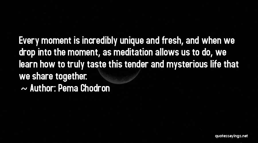 Pema Chodron Quotes: Every Moment Is Incredibly Unique And Fresh, And When We Drop Into The Moment, As Meditation Allows Us To Do,