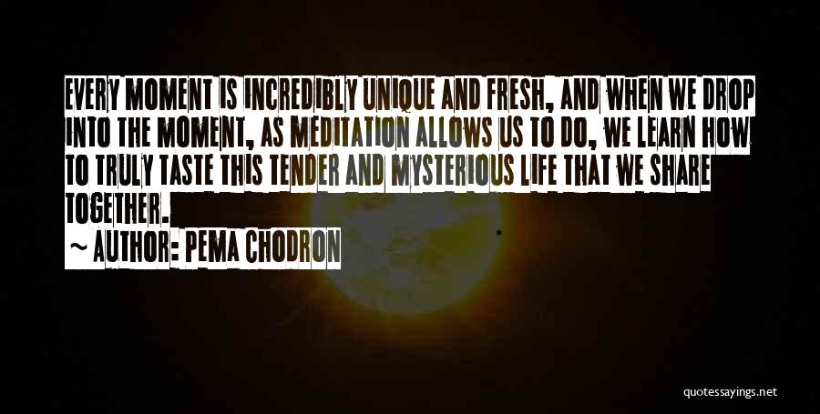 Pema Chodron Quotes: Every Moment Is Incredibly Unique And Fresh, And When We Drop Into The Moment, As Meditation Allows Us To Do,