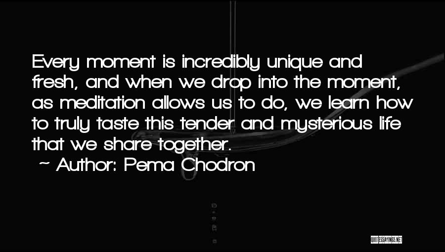 Pema Chodron Quotes: Every Moment Is Incredibly Unique And Fresh, And When We Drop Into The Moment, As Meditation Allows Us To Do,