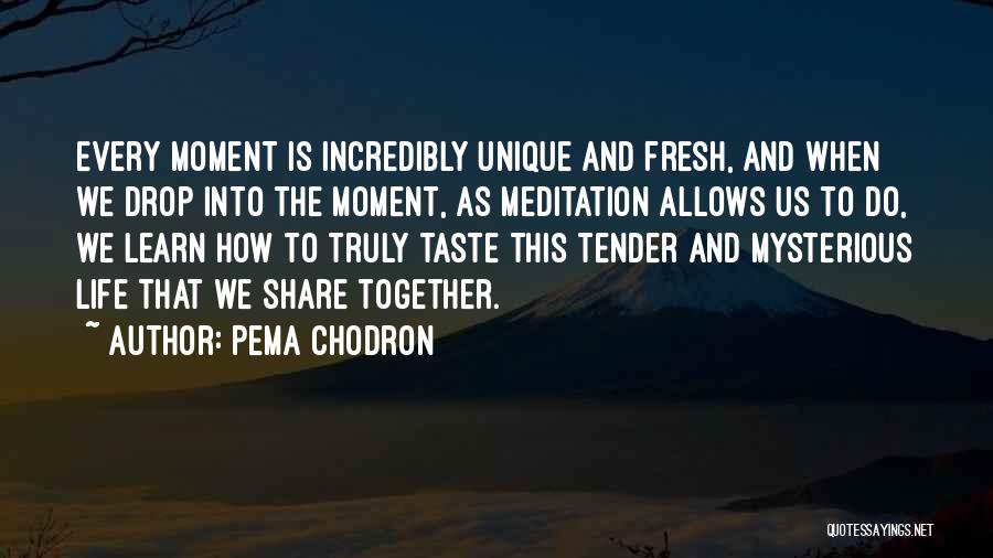 Pema Chodron Quotes: Every Moment Is Incredibly Unique And Fresh, And When We Drop Into The Moment, As Meditation Allows Us To Do,