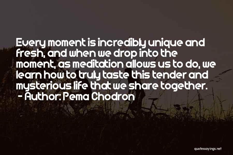 Pema Chodron Quotes: Every Moment Is Incredibly Unique And Fresh, And When We Drop Into The Moment, As Meditation Allows Us To Do,