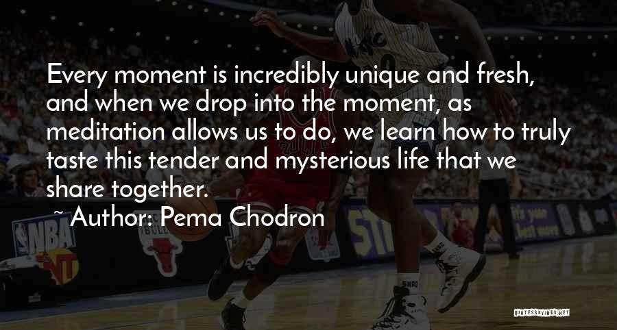Pema Chodron Quotes: Every Moment Is Incredibly Unique And Fresh, And When We Drop Into The Moment, As Meditation Allows Us To Do,