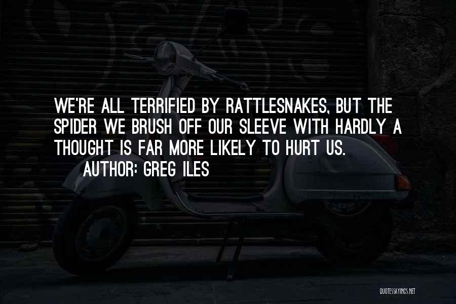 Greg Iles Quotes: We're All Terrified By Rattlesnakes, But The Spider We Brush Off Our Sleeve With Hardly A Thought Is Far More