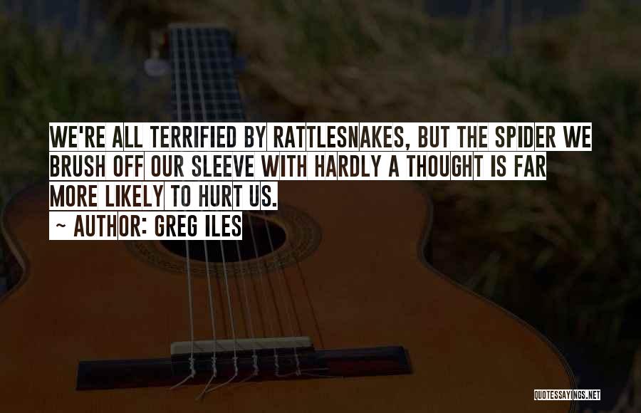Greg Iles Quotes: We're All Terrified By Rattlesnakes, But The Spider We Brush Off Our Sleeve With Hardly A Thought Is Far More