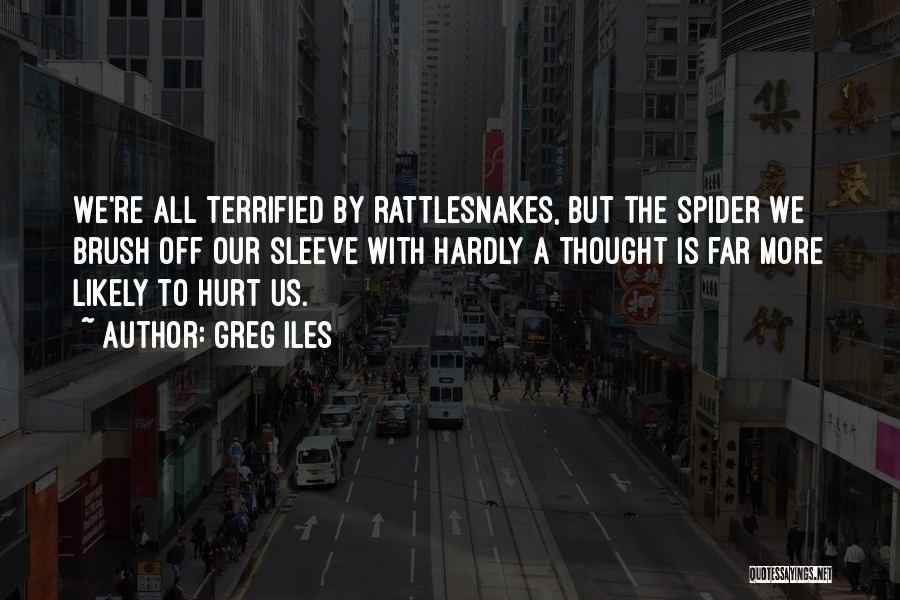 Greg Iles Quotes: We're All Terrified By Rattlesnakes, But The Spider We Brush Off Our Sleeve With Hardly A Thought Is Far More